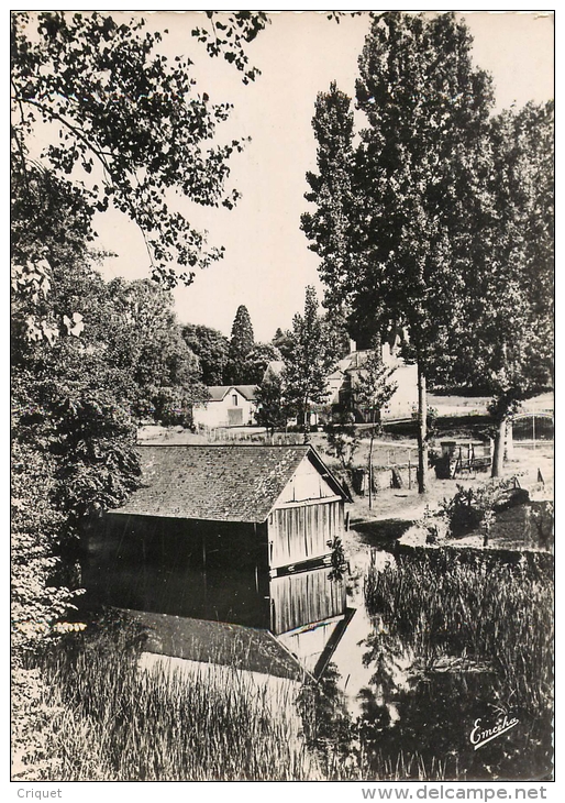 49 Rablay, Paysage Sur Le Layon, Lavoir Au 1er Plan, Verso " Dans La Cave D'un Gourmet  Il Y A Du Rablay ", Pas Courante - Autres & Non Classés