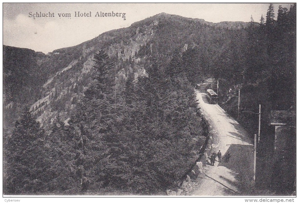 SCHLUCHT Vom Hotel Altenberg - Petit Train - Animé - Autres & Non Classés