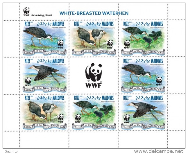 Maldives 2013, WWF, Birds, White Breasted Waterhen, 4val X2 In Sheetlet - Unused Stamps