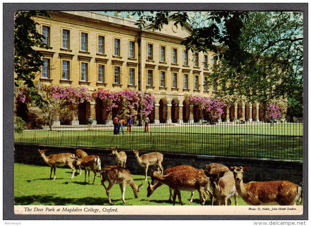 OXFORD THE DEER PARK AT MAGDALEN COLLEGE FG V SEE 2 SCANS - Oxford