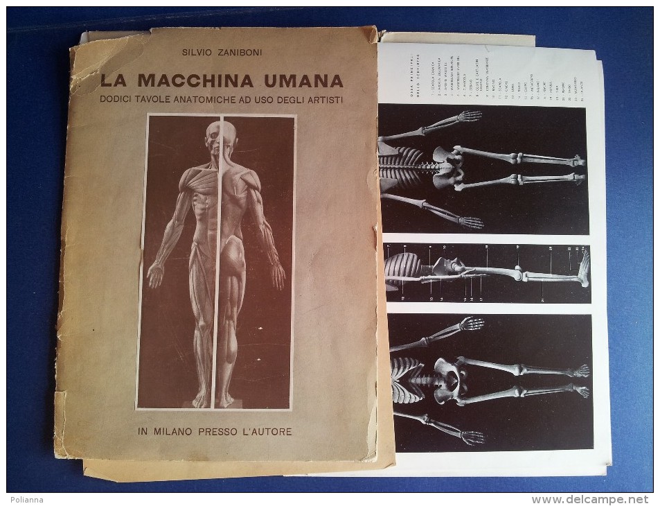 M#0M56 Silvio Zaniboni LA MACCHINA UMANA: TAVOLE ANATOMICHE AD USO DEGLI ARTISTI 1954 - Medecine, Psychology