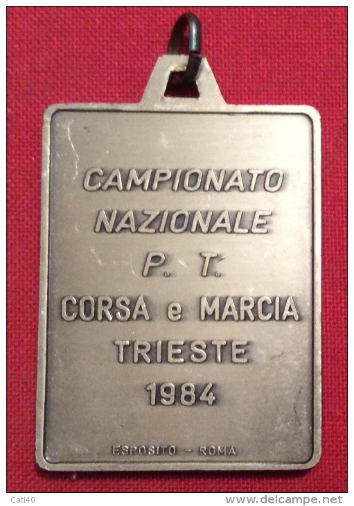 MEDAGLIA  GRADISCA LA PORTA NUOVA - V MEMORIAL SILVIO E TULLIO BRESSAN  1981 - D.5 X4 Cm -   CON CUSTODIA - Professionals/Firms