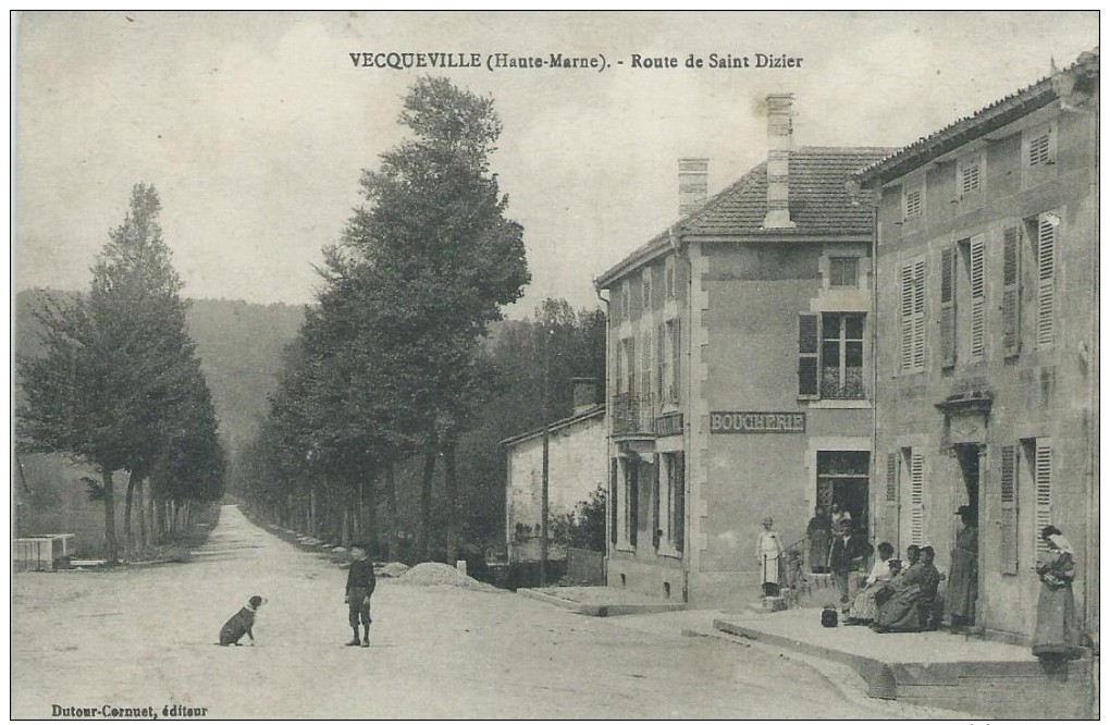 52, Haute-Marne, VECQUEVILLE,765 Habitants, Route De Saint-Dizier, Animations, Scan Recto-Verso - Saint Dizier