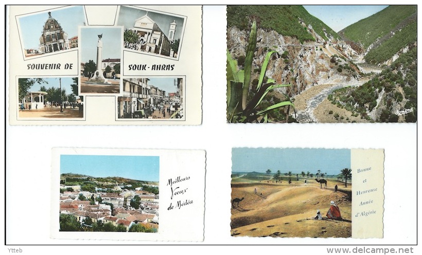 Algérie / LOT DE 8 CARTES - Souk-Ahras - Alger - Gorges De La Chiffa - Médéa - Souk Ahras