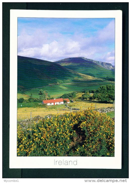 IRELAND  -  Wicklow  Tin Roofed Cottage  Used Postcard As Scans - Wicklow