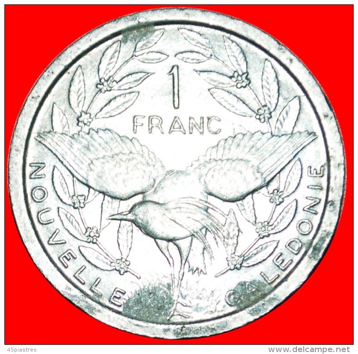 · BIRD KAGU: NEW CALEDONIA ★ 1 FRANC 1949! LOW START &#9733; NO RESERVE! - Nuova Caledonia