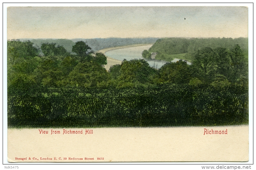 LONDON : RICHMOND - VIEW FROM RICHMOND HILL - London Suburbs