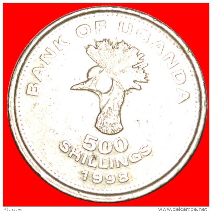 &#9733;CRANE: UGANDA &#9733; 500 SHILLINGS 1998! LOW START &#9733; NO RESERVE! - Ouganda