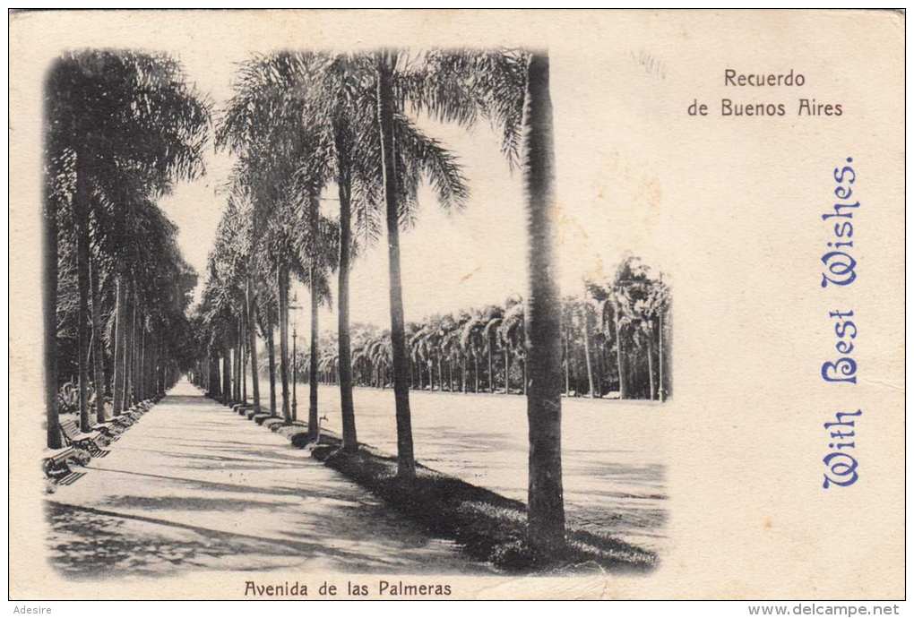 RECUERDO DE BUENES AIRES - Avenida De Las Palmeras, Gel.190?, 6 Centavos Frankierung, Karte Unten Eingerissen - Argentinien