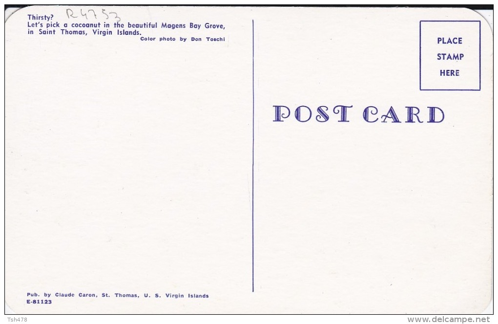 AMERIQUE---ANTILLES--VIERGES---thirsty?--let´s Pick A Cocoanut In The Beautiful Magens Bay Grove In Saint --voir 2 Scans - Vierges (Iles), Amér.