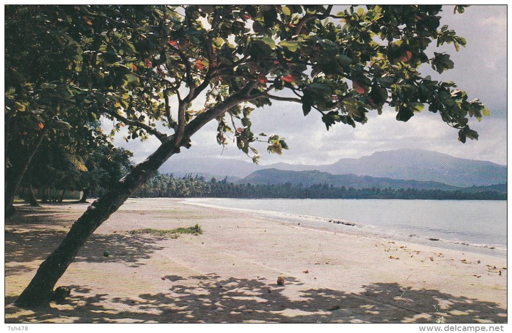 AMERIQUE---ANTILLES---PUERTO RICO--luquillo Beach With El Yunque Puerto Rico's--voir 2 Scans - Puerto Rico