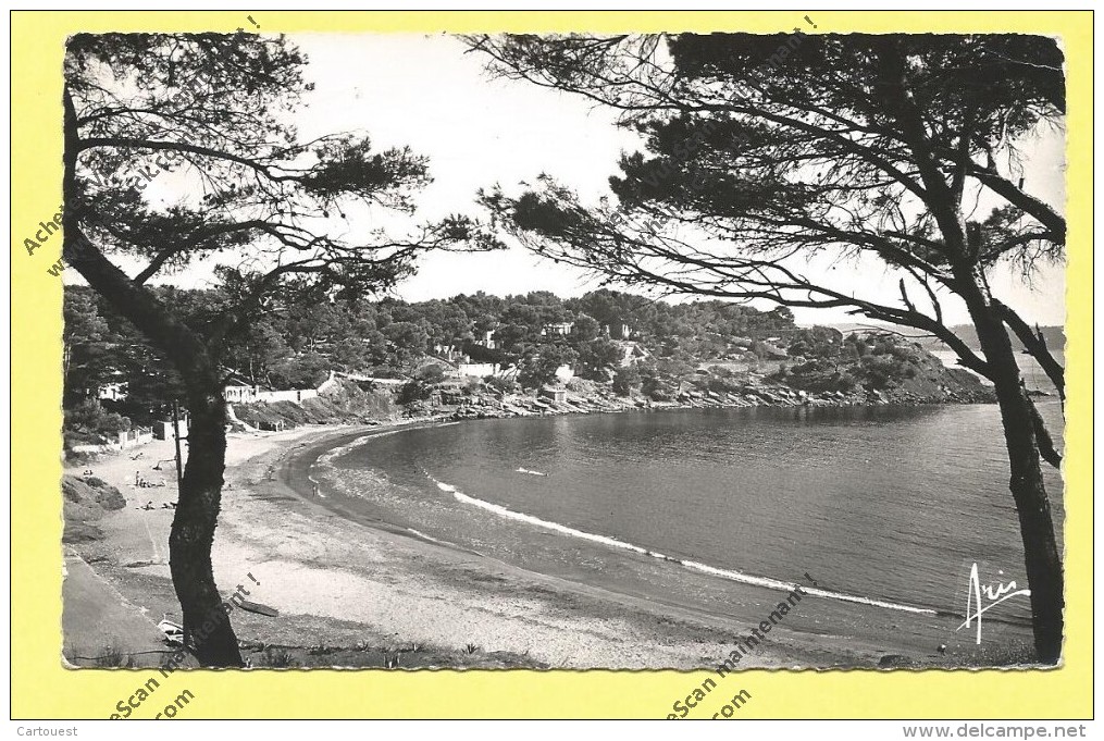 CPSM  83 LA SEYNE SUR MER LA PLAGE FABREGAS 1957 - La Seyne-sur-Mer