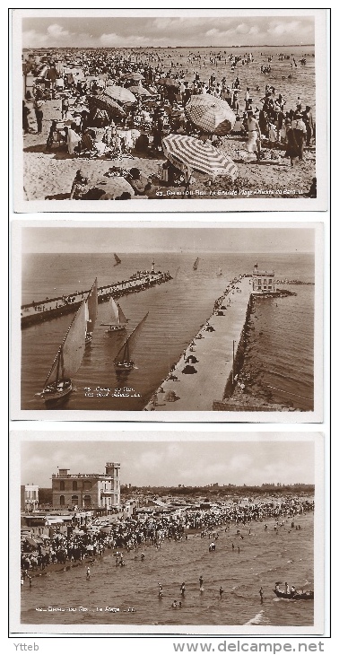 Gard / 30 - LOT De 3 Cartes Sépia Vernissées - LE GRAU DU ROI - Jetée Plage Baignade - Le Grau-du-Roi