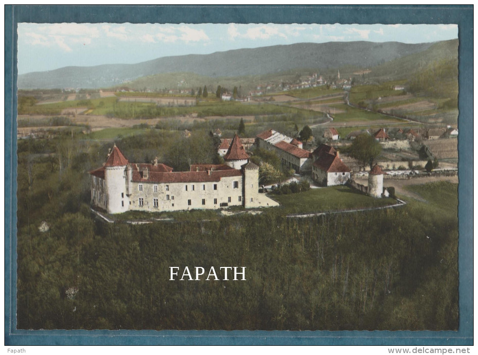 38-VIGNIEU-Vue Aérienne-le Château De Chapeau-Cornu- Non écrite - 2 Scans - 10.5 X 15- SPADEM - Andere & Zonder Classificatie