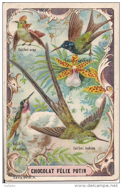 CHROMO CHOCOLAT FELIX POTIN OISEAU LES COLIBRIS - Autres & Non Classés