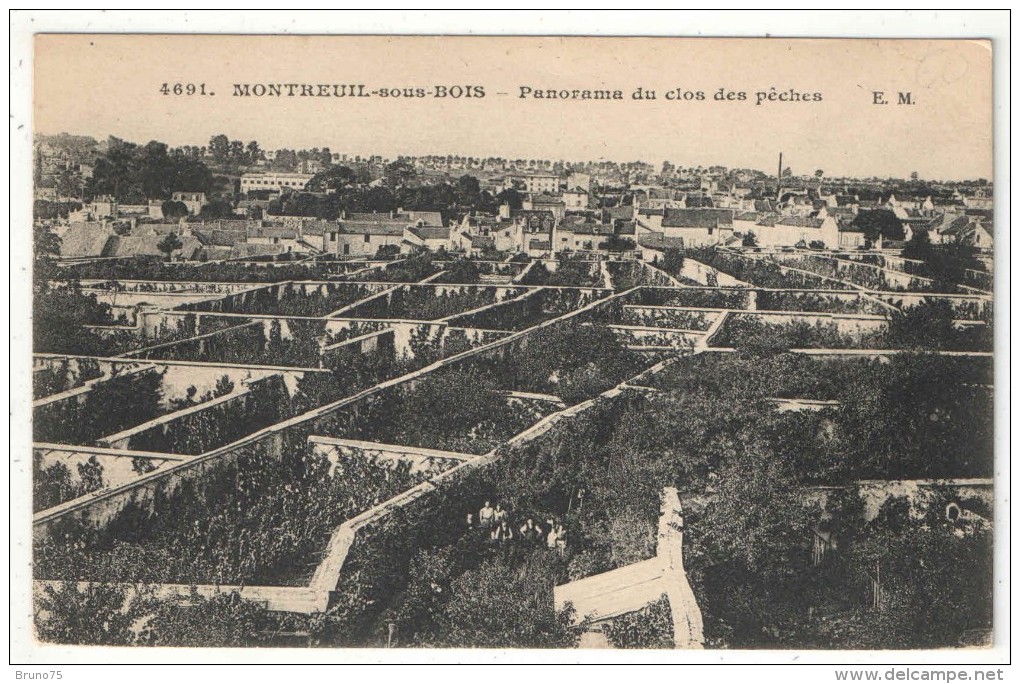 93 - MONTREUIL-SOUS-BOIS - Panorama Du Clos Des Pêches - EM 4691 - Montreuil