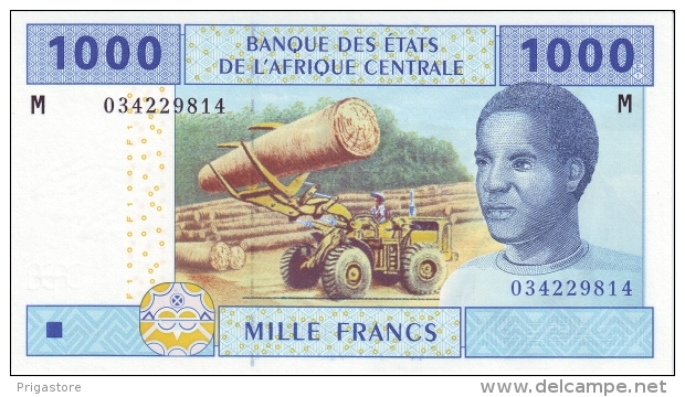 East African States - Afrique Centrale Centrafrique 2002 Billet 1000 Francs Pick 307 Neuf 1er Choix UNC - Central African Republic