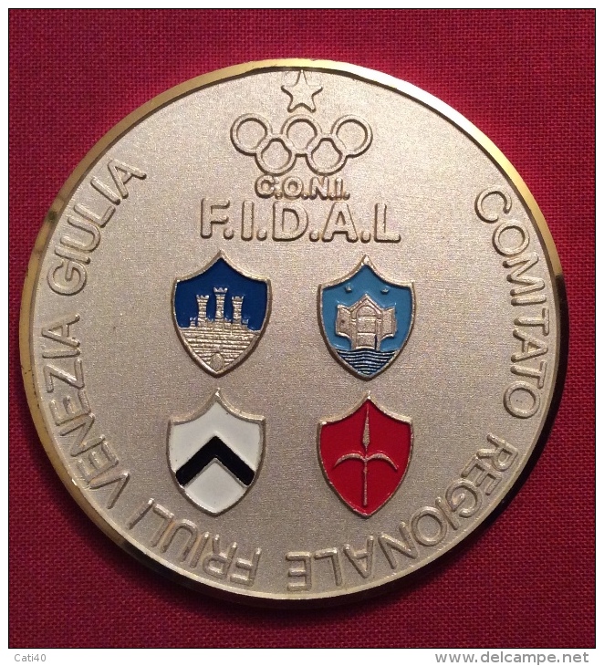 MEDAGLIA    C.O.N.I. - F.I.D.A.L.  FRIULI  VENEZIA GIULIA  MEMORIAL FILIPUT GORIZIA 1982 - D.6,5 - Professionals/Firms