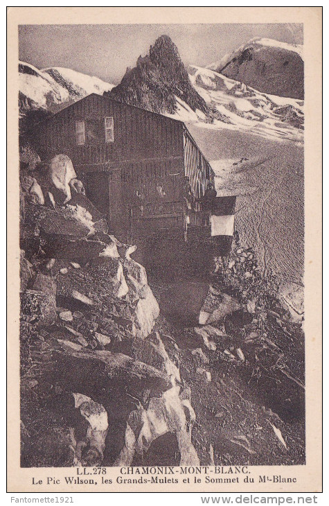 CHAMONIX MONT BLANC LE PIC WILSON, LES GRANDS MULETS(dil110) - Chamonix-Mont-Blanc