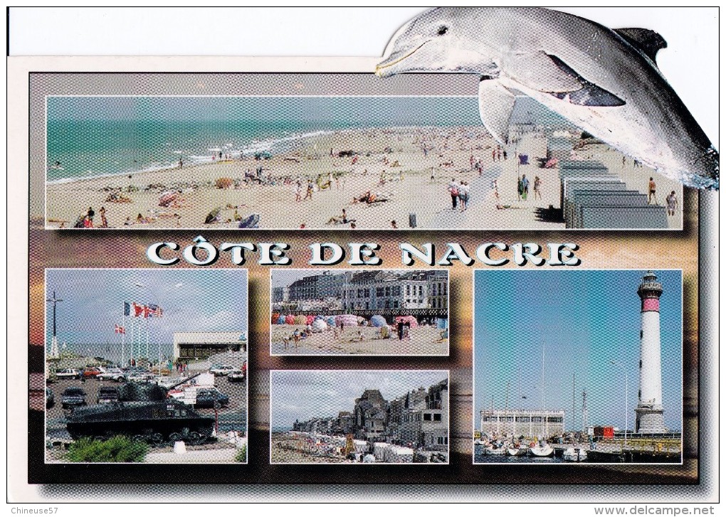 Cp Cote De NACRE- Multi Vues-dauphin Découpé - Dauphins