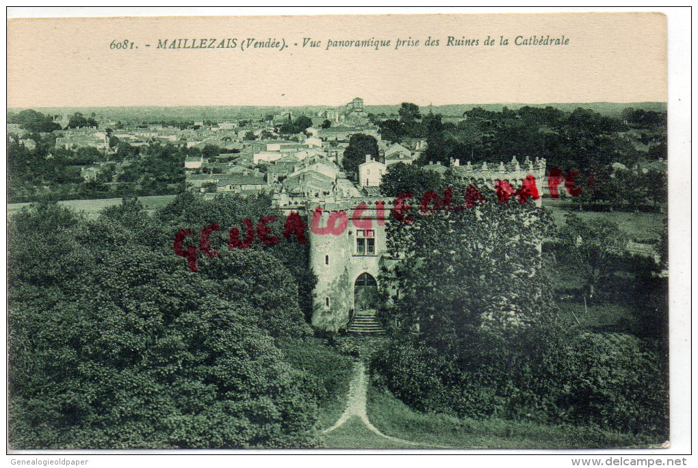 85 - MAILLEZAIS - VUE PANORAMIQUE PRISE DES RUINE DE LA CATHEDRALE - Maillezais