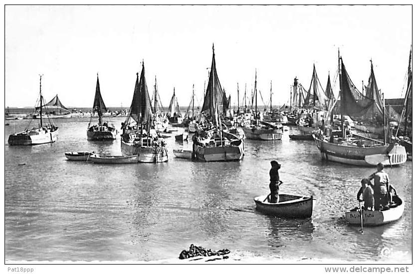BATEAUX &amp; BARQUES DE PECHE - ILE D'OLERON (17) Jolie CPSM Dentelée PF 1967 - Fishing Boat Trawler Fischerboote - Pêche