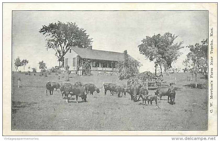 244961-Kansas, Topeka, C.W. Merriam's Farm, Cows - Topeka