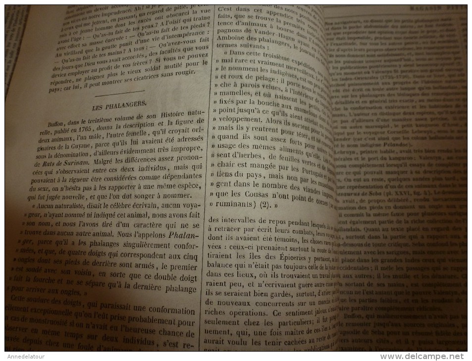 1847 MP Vétéran Et Conscrit , Par Gavarni; Le PHALANGER Tacheté De L'île De Waigiou ; Les Femmes-professeurs De Musique - 1800 - 1849