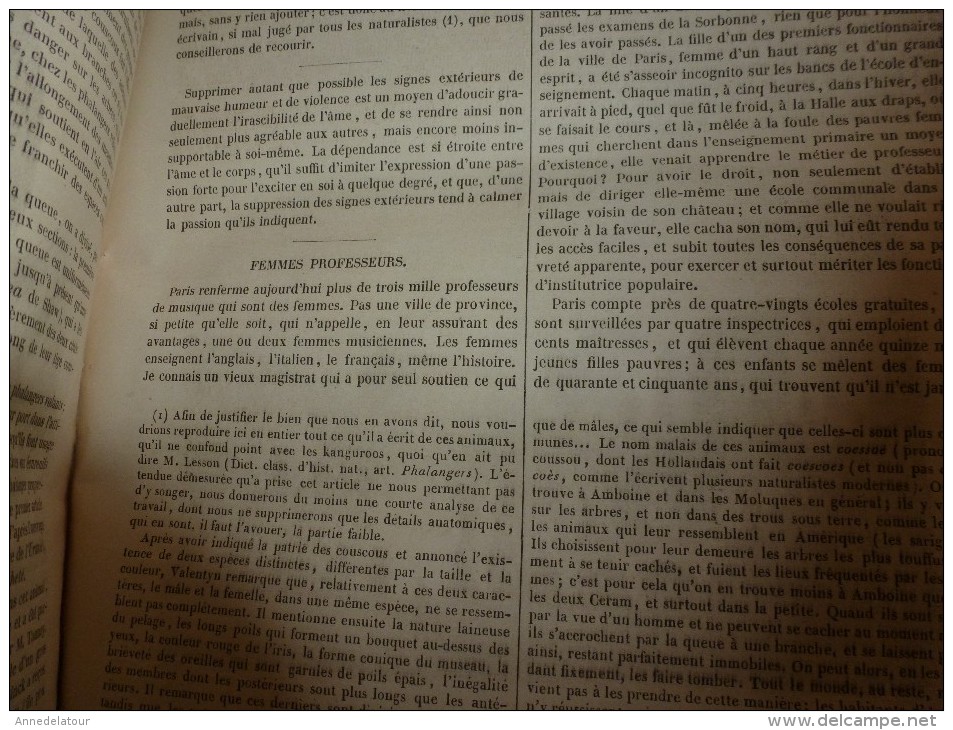 1847 MP Vétéran Et Conscrit , Par Gavarni; Le PHALANGER Tacheté De L'île De Waigiou ; Les Femmes-professeurs De Musique - 1800 - 1849