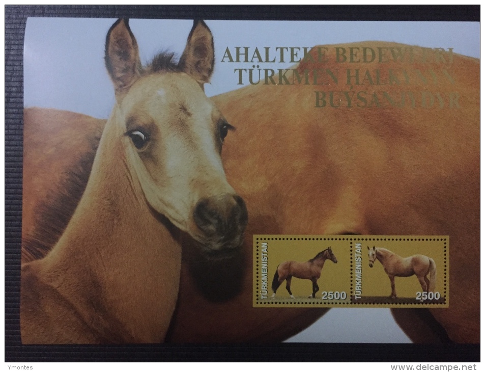 Stamps Turkmenistán  Horses 2005 4 Souvenir Sheet - Turkménistan