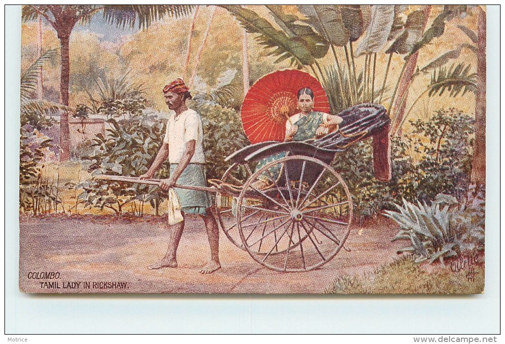 COLOMBO - Tamil Lady In Rickshaw (oilette) - Sri Lanka (Ceylon)