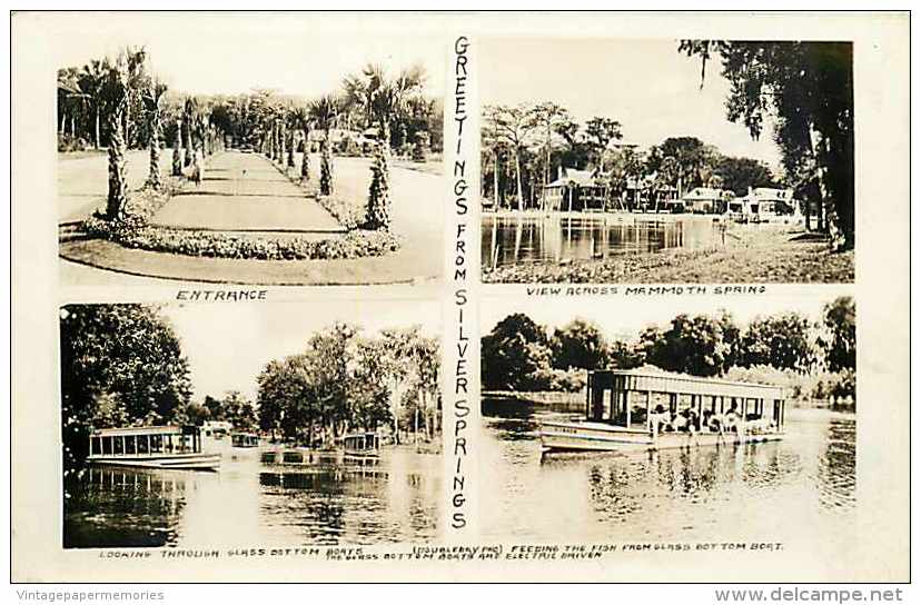 245931-Florida, Silver Springs, RPPC, Multi-View, 4 Scenes, Doubleday Photo - Silver Springs