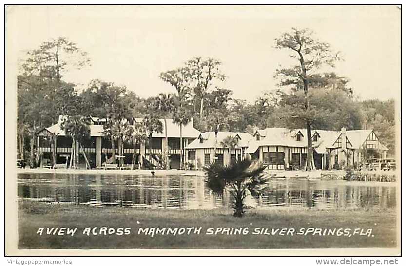 245933-Florida, Silver Springs, RPPC, View Across Mammoth Spring - Silver Springs