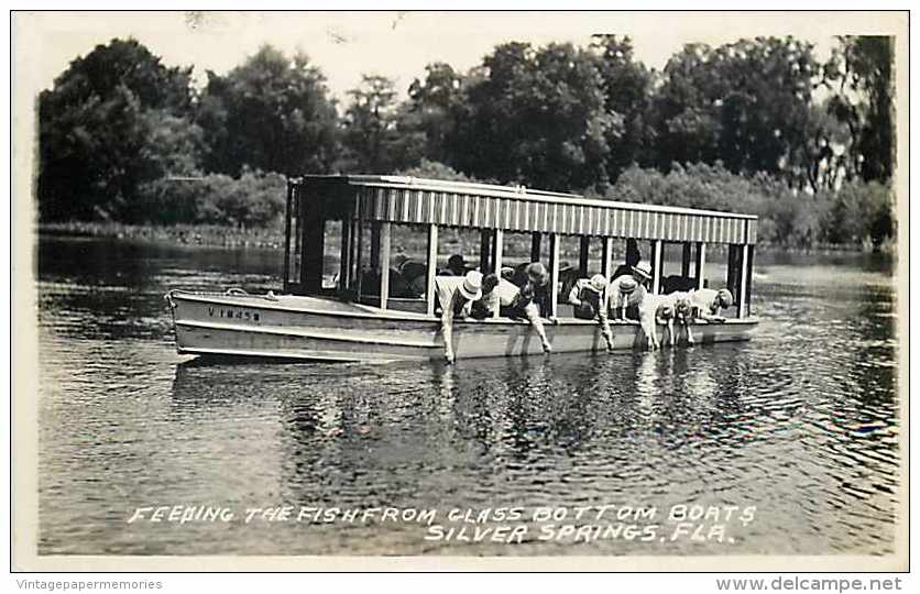 245935-Florida, Silver Springs, RPPC, Feeding Fish From Glass Bottom Boats - Silver Springs