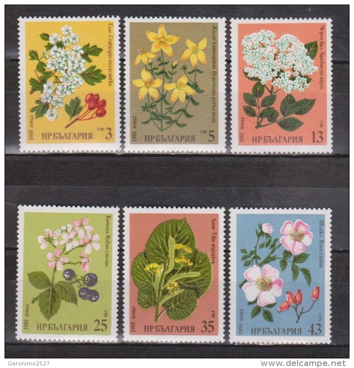 BULGARIA 1981 FLORA Flowers MEDICINE PLANTS - Fine Set MNH - Geneeskrachtige Planten
