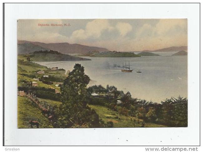 DUNEDIN HARBOUR 1037  , N Z 1908 - Nuova Zelanda