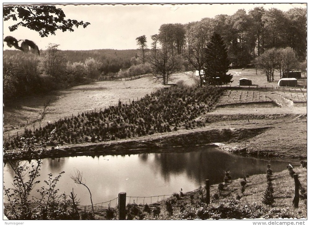 BÜLLINGEN - Bullange - Büllingen