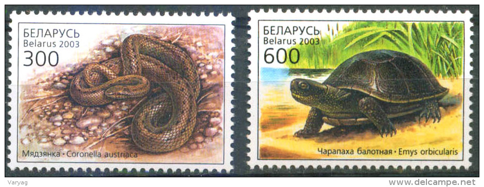 _TH Belarus 2003 Reptiles 2v MNH - Serpientes