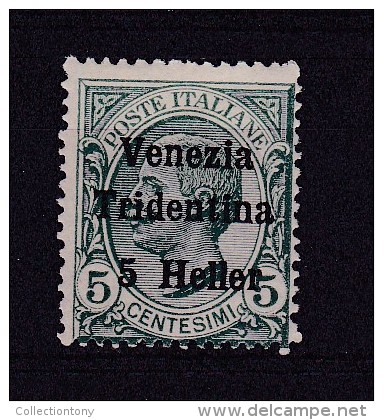 1918 - TERRE REDENTE - TRENTINO ALTO ADIGE - TL - Cat. Sassone N.28 (183) - Trento