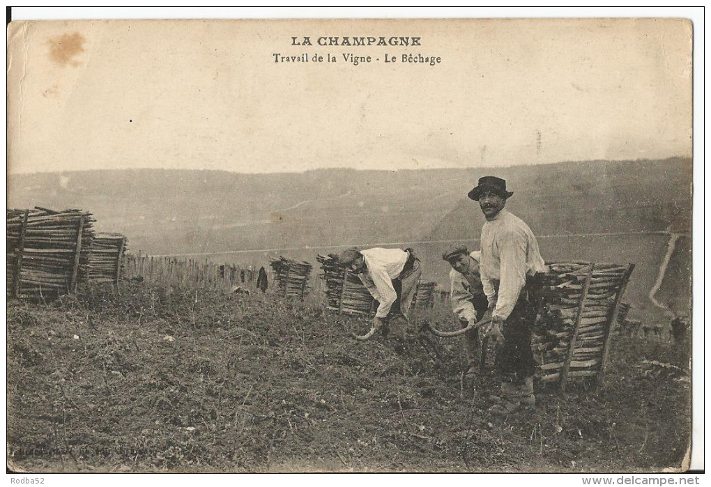 Belle Carte - En Champagne - Travail De La Vigne - Le Bêchage - - Champagne-Ardenne