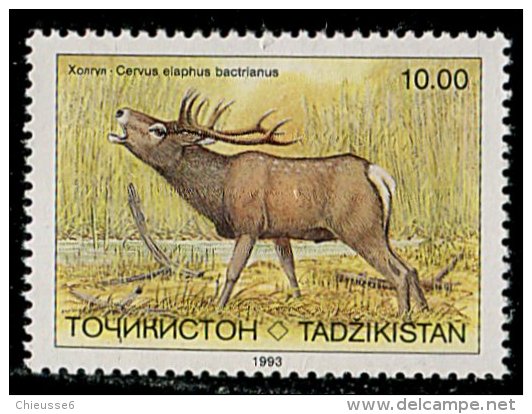 (cl.11 - P.55) Tadjikistan ** N° 13 (ref. Michel Au Dos) - Cerf - - Tadjikistan
