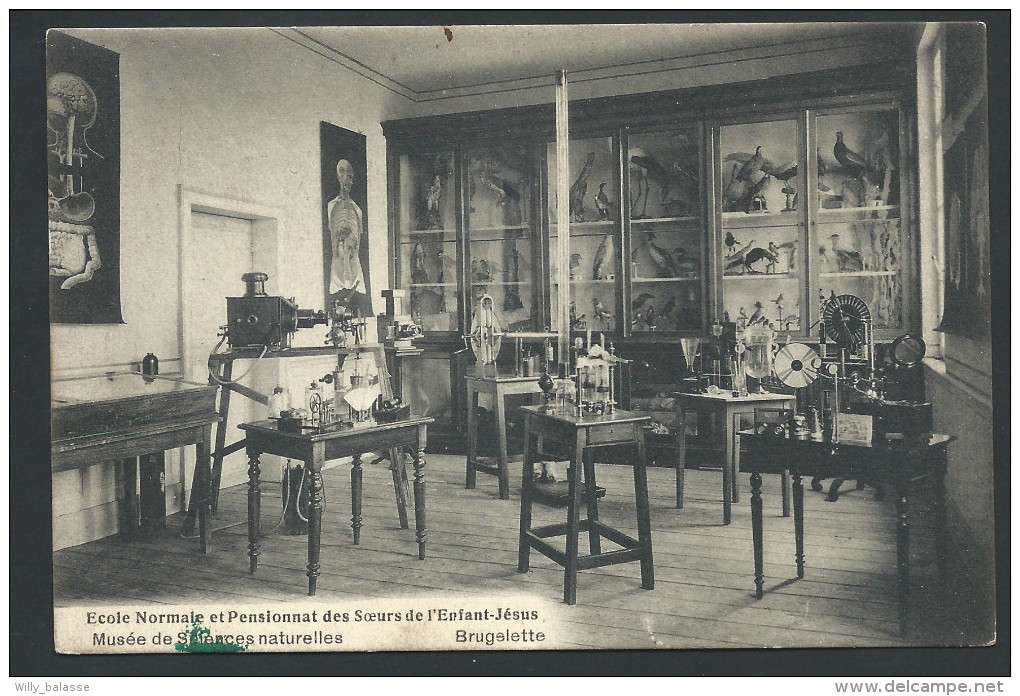 CPA - BRUGELETTE - Ecole Normale Et Pensionnat Soeurs De L'Enfant Jésus - Musée De Sciences Nat - Cachet Fortune  // - Brugelette