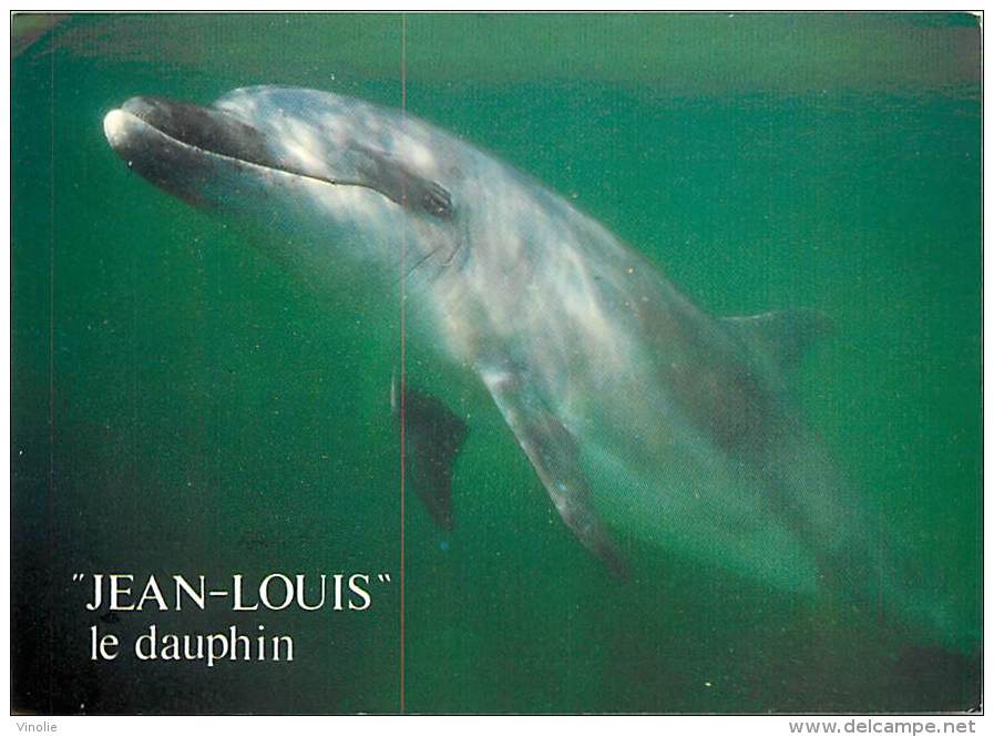 B16-0011 :   LE DAUPHIN JEAN-LOUIS CLEDEN CAP SIZIN - Dauphins