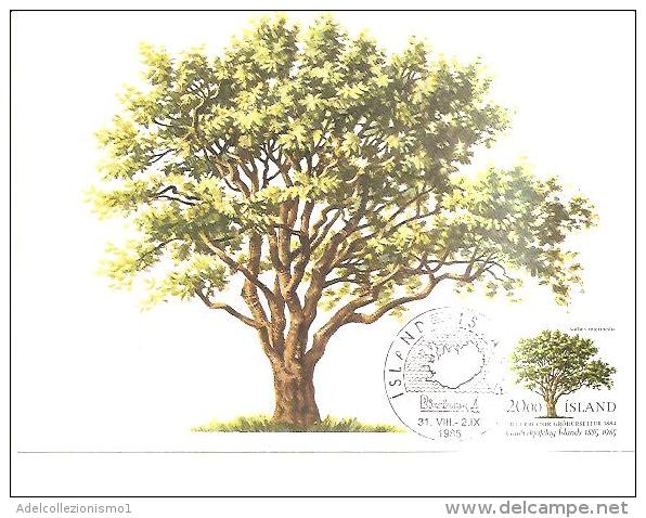 82092) Cartolina Maximum Dell´islanda- Con 20 Natura-albero-31-8-85 - Tarjetas – Máxima