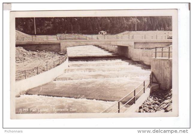 BONNEVILLE DAM Fish Ladder Columbia River Photo Sawyers  POST CARD Rppc - Autres & Non Classés