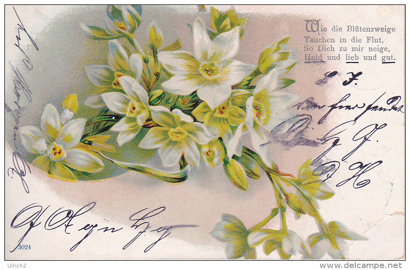 AK Blumen - Wie Die Blütenzweige - Poesie - 1901 (20967) - Blumen