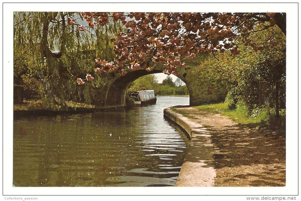Cp, Angleterre, Marsworth, Ship Bridge, écrite - Buckinghamshire