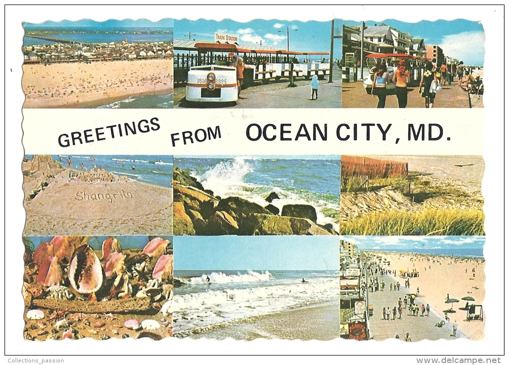 Cp, Etats-Unis, Ocean City, Multi-Vues, Voyagée 1978 - Autres & Non Classés