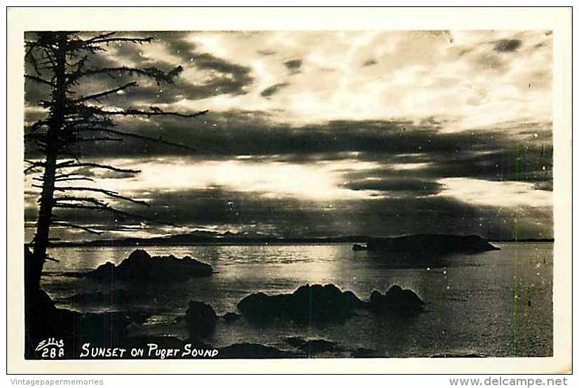 247037-Washington, Seattle, RPPC, Puget Sound Sunset, Ellis Photo No 288 - Seattle