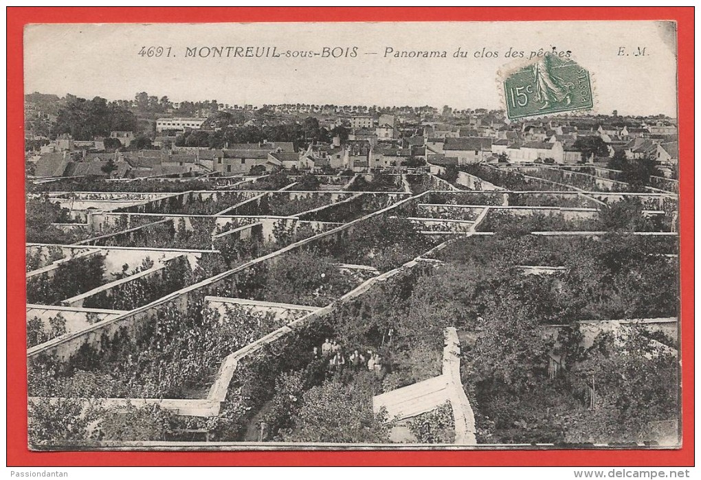 CPA Montreuil Sous Bois - Panorama Du Clos Des Pêches - Montreuil